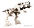 Bild av LaQ Dinosaur World Dino Skeletons- Skelett