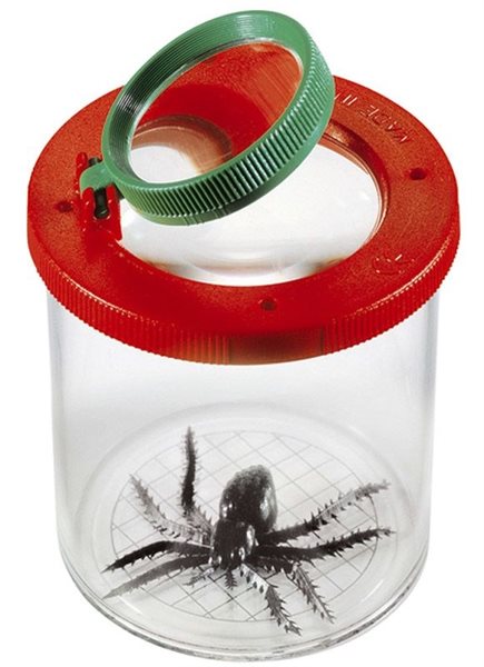 Bild av Insektsburk 